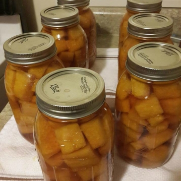 Canned pumpkin in quart jars